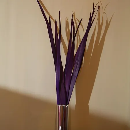 Singular Pilatos Севилья